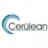 Cerulean Information Technology Pvt Ltd logo