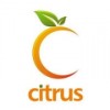 Citrus Informatics logo