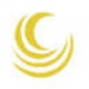 Comnet Solutions logo