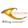 CONDOR BUILDERS (PVT) LTD logo