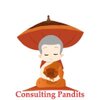 Consulting Pandits logo