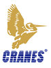 Cranes Varsity logo