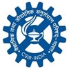 CSIR URDIP logo