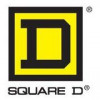 D Square