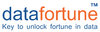 Datafortune Software Solutions logo