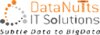 DataNutts IT Solutions logo