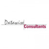 Datawise Consultants logo