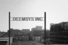 Deemsys logo