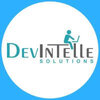 DevIntelle Consulting Service