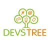 Devstree IT Services Pvt. Ltd. logo