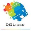 DGLiger Consulting logo