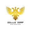 Dolluz Corporation Pvt Ltd logo