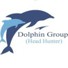 Dolphin Head Hunters logo