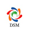 DSM Infocom logo