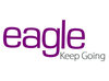 Eagle Information Systems Pvt Ltd logo