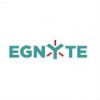 Egnyte logo