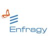 Enfragy Solutions India logo