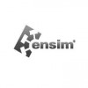 Ensim Corporation logo