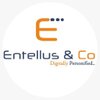 Entellus & Co logo