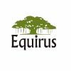 Equirus Capital