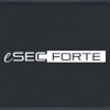 eSecForte