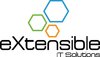 eXtensible IT Solutions logo