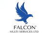 Falcon Multi Services logo