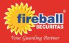 Fireball Securitas & Consultants Private Limited logo