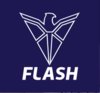 Flash Viven Machining Technologies logo