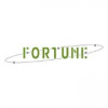 Fortune Marketing logo