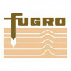 Fugro Survey India logo