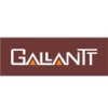 gallantt ispat ltd logo