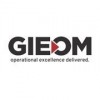 GIEOM Business Solution logo