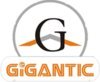 Gigantic Infotel logo