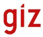 Giz logo