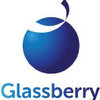 Glassberry IT Solutions Pvt. Ltd. logo