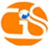 Global Info Solutions logo