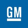 General Motors India Pvt. Ltd. logo