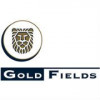 Gold Fields logo