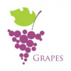 Grapes Digital logo