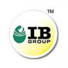 IB Group logo