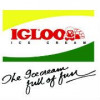 Igloo Logo