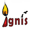 Ignis Careers logo