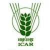 Indian Institute of Horticultural Research logo