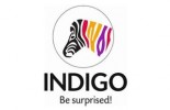 Indigo Paints Logo