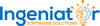 Ingeniator Software logo