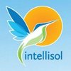 INTELLISOL logo