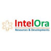 IntelOra Resources & Developments logo