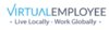 Virtual Employee Logo