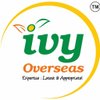 IVY Overseas logo